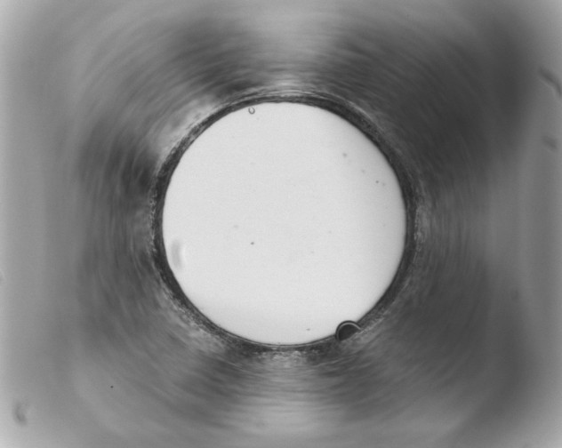 X0000103501410200810101036