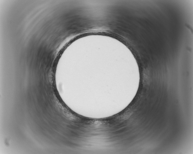 X0000103501412200810101036