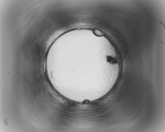 X0000103501413200810101036