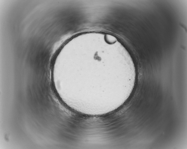 X0000103501414200810101036