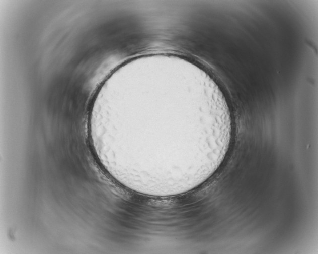 X0000103501415200810101036