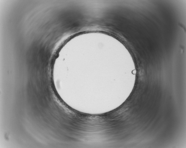 X0000103501416200810101036