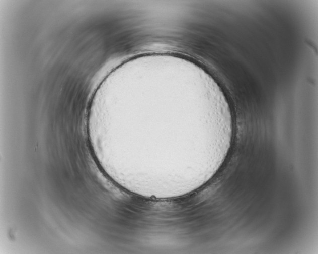 X0000103501421200810101036