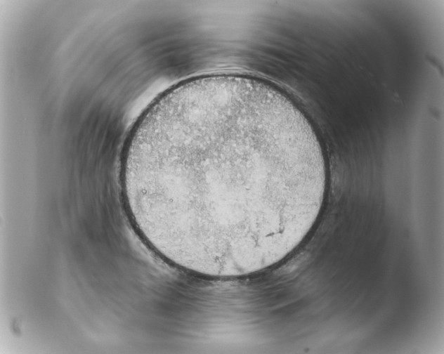 X0000103501422200810101036