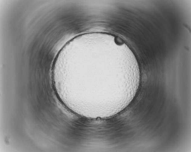 X0000103501423200810101036