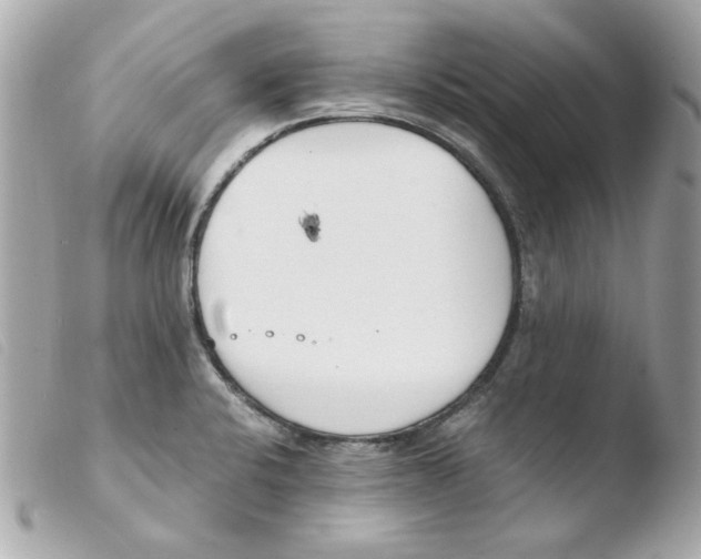 X0000103501424200810101036