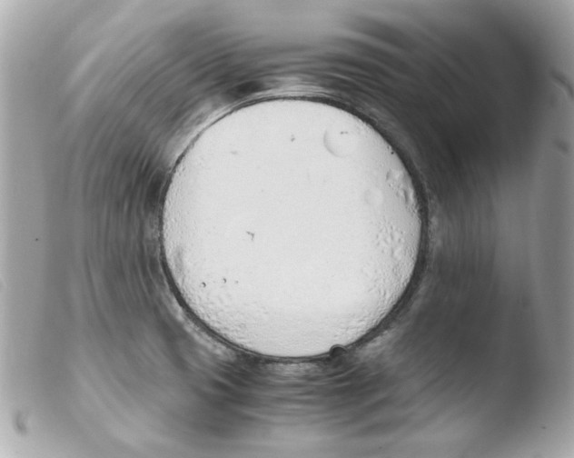 X0000103501425200810101036