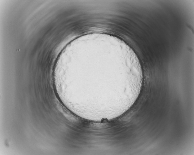 X0000103501427200810101036