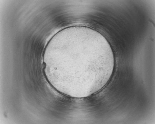 X0000103501428200810101036