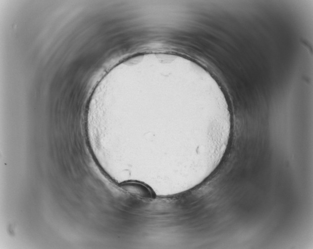 X0000103501429200810101036