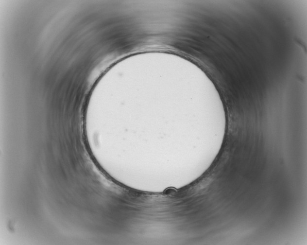 X0000103501430200810101036