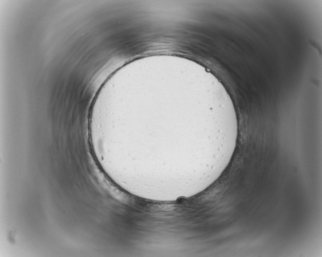 X0000103501431200810101036