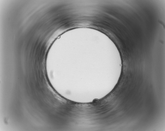 X0000103501432200810101036