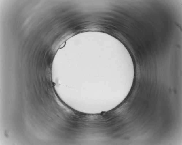 X0000103501433200810101036