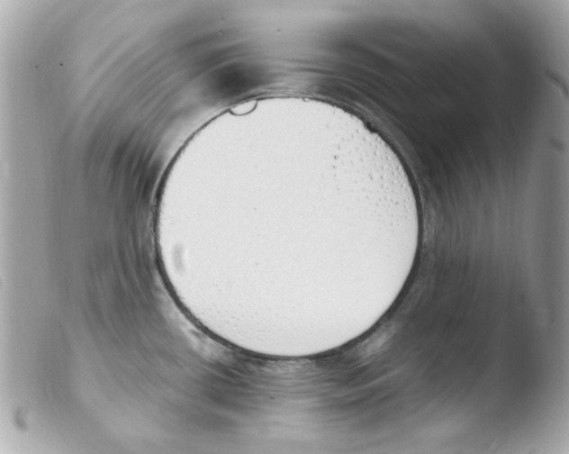 X0000103501434200810101036