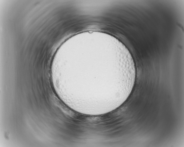 X0000103501435200810101036