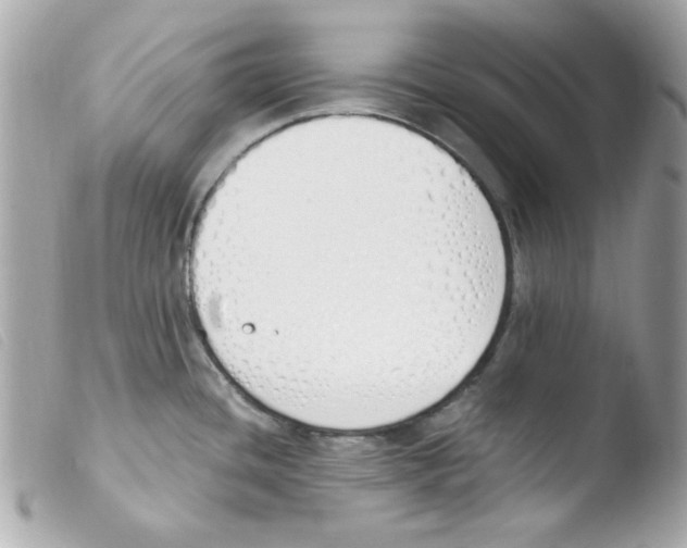 X0000103501436200810101036