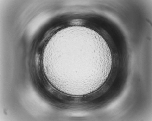 X0000103501438200810101036