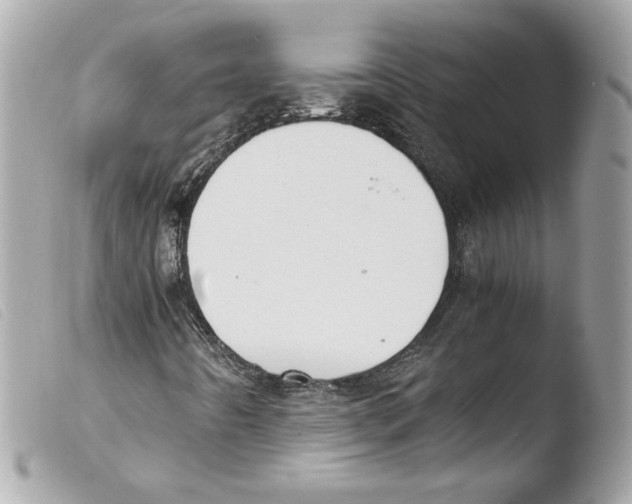 X0000103501442200810101035