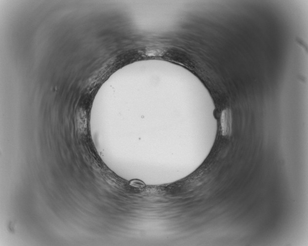 X0000103501443200810101035