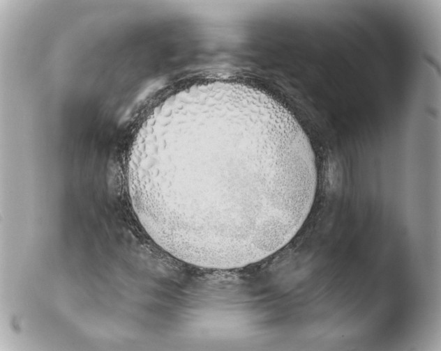 X0000103501446200810101035