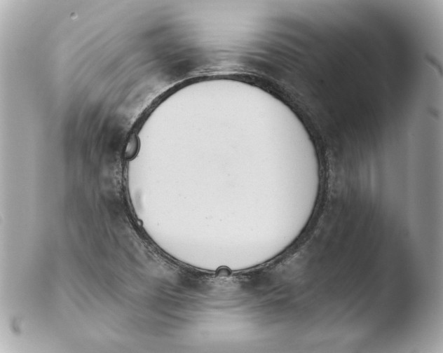 X0000103501457200810101035