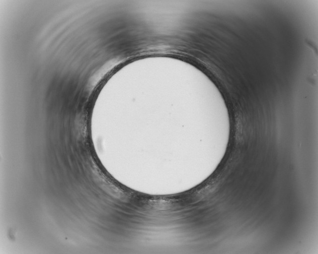 X0000103501458200810101035