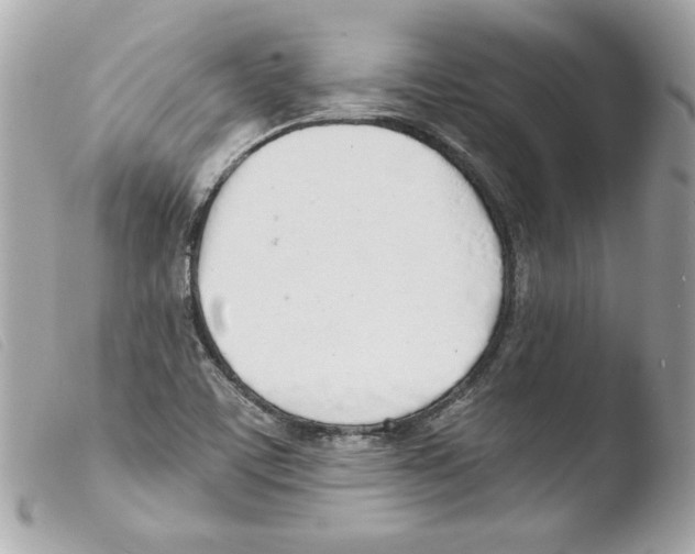 X0000103501459200810101035