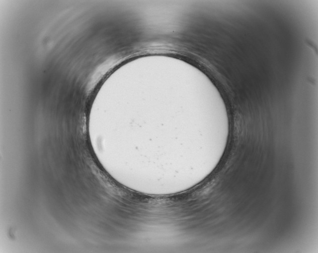 X0000103501461200810101035