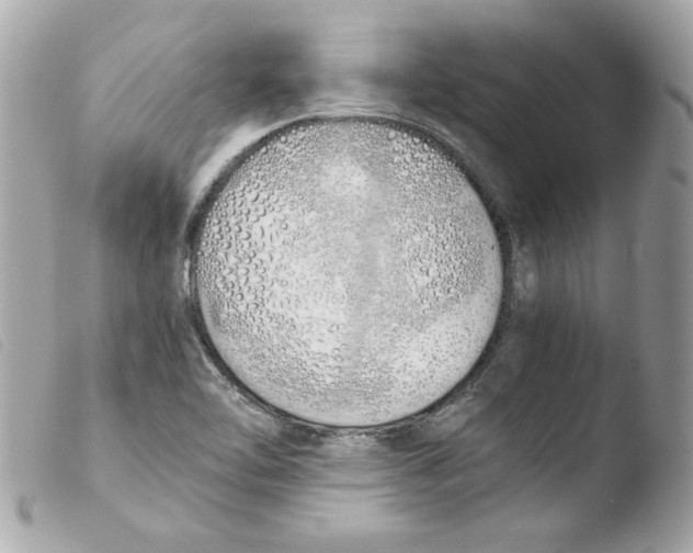 X0000103501462200810101035