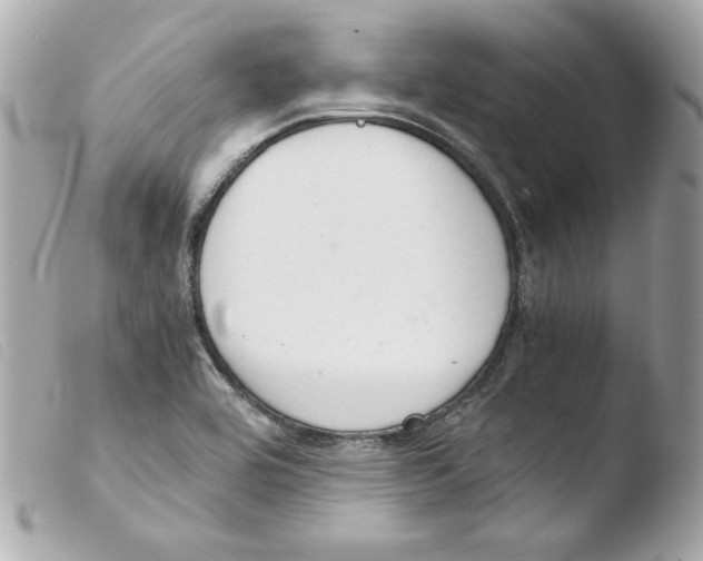 X0000103501464200810101035