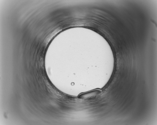 X0000103501465200810101035