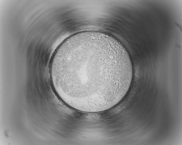 X0000103501466200810101035