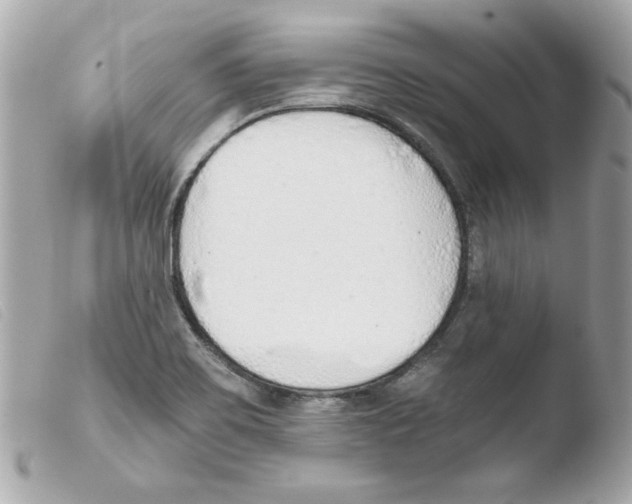 X0000103501467200810101035