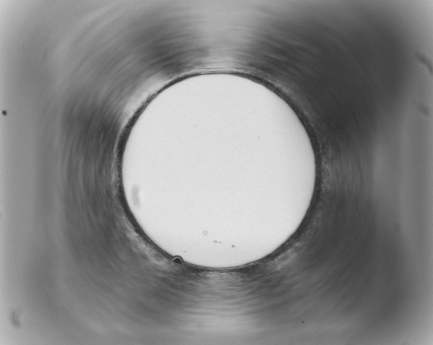 X0000103501469200810101035