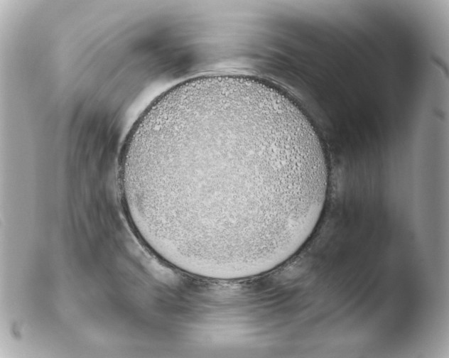 X0000103501470200810101035