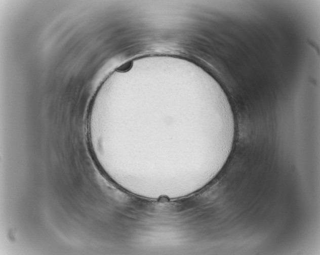 X0000103501471200810101035