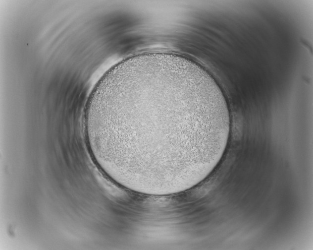 X0000103501474200810101035