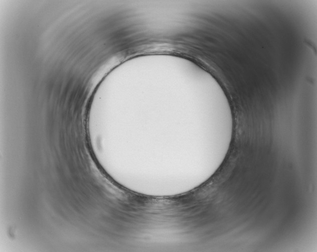 X0000103501475200810101035