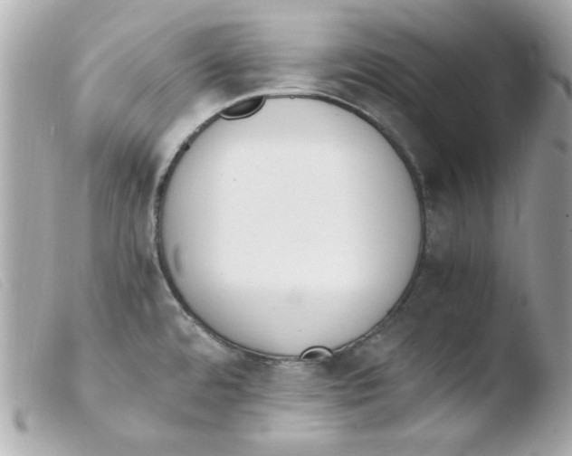 X0000103501480200810101035