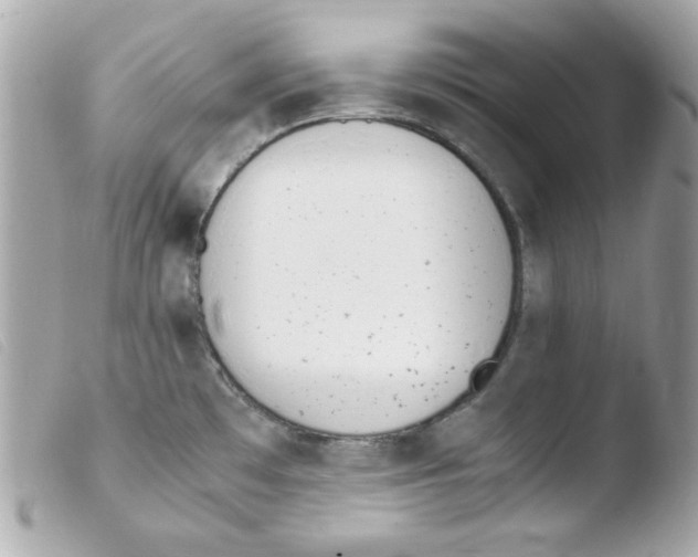 X0000103501481200810101035