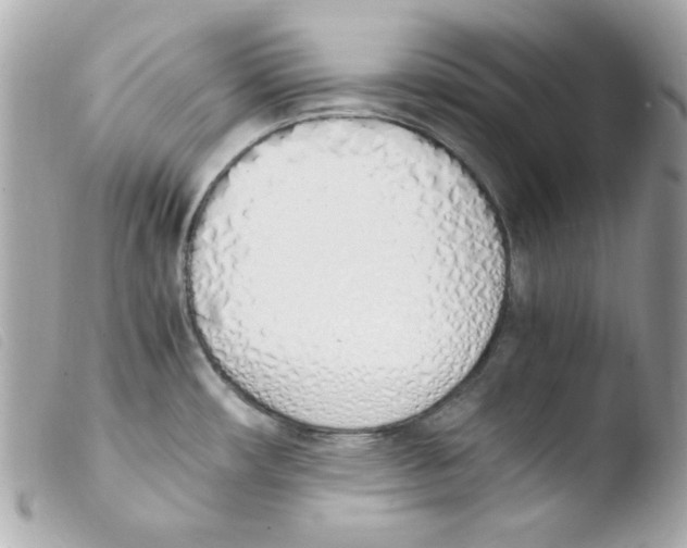 X0000103501482200810101035