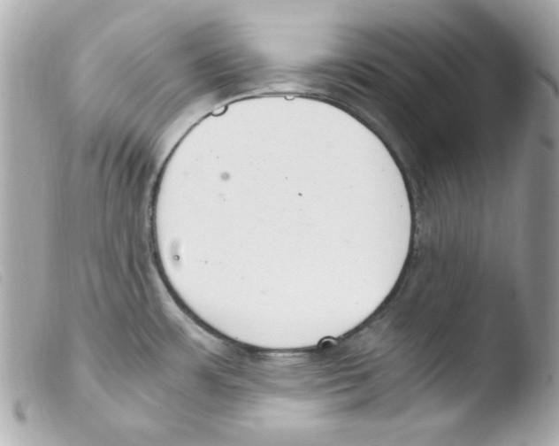 X0000103501483200810101035