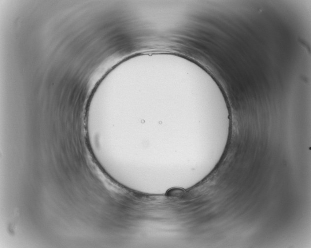 X0000103501485200810101035