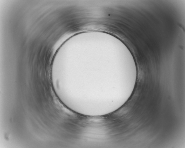 X0000103501486200810101035