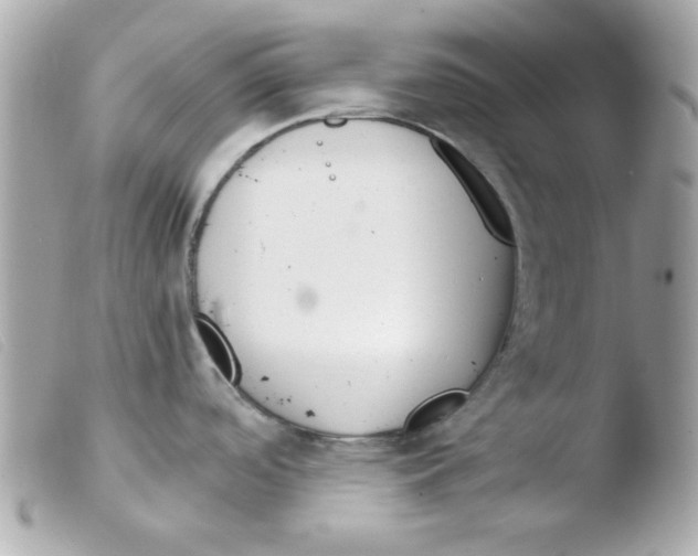 X0000103501488200810101035