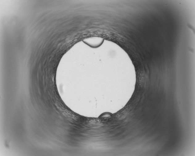 X0000103501489200810101034