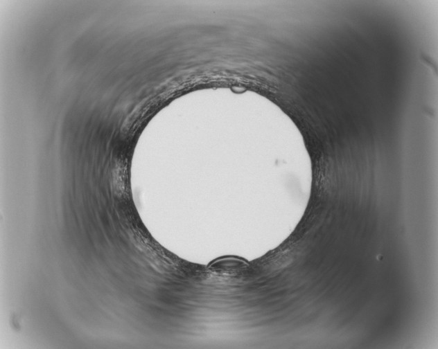 X0000103501490200810101034