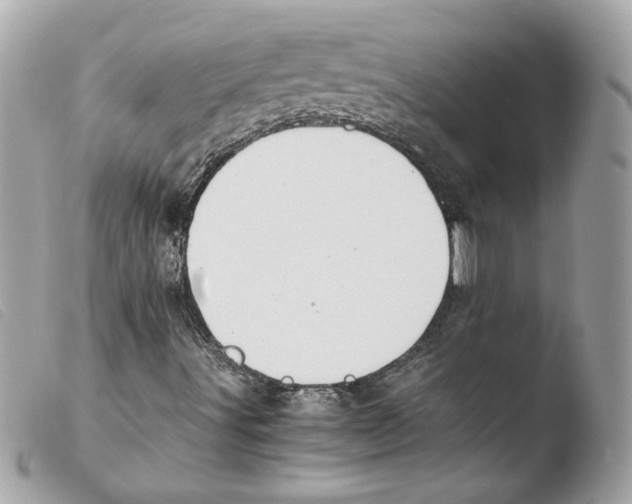 X0000103501491200810101034