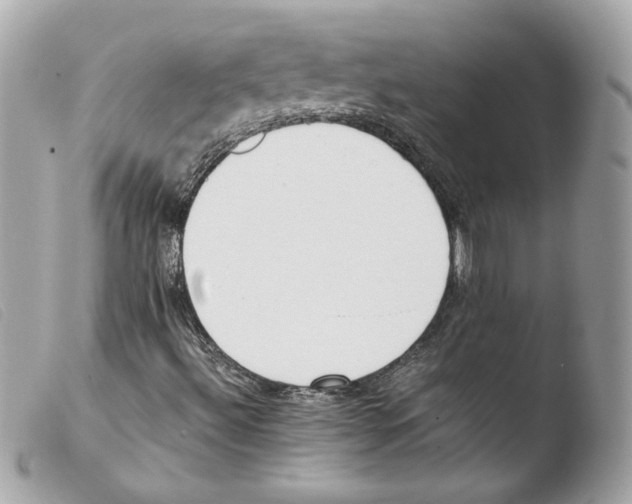 X0000103501492200810101034